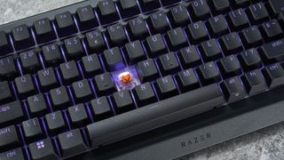 Photograph of the Razer BlackWidow V4 Pro 75% keyboard