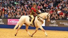 Horse-No-939_Olympia_PN17_4497_159700051_236818301.jpg