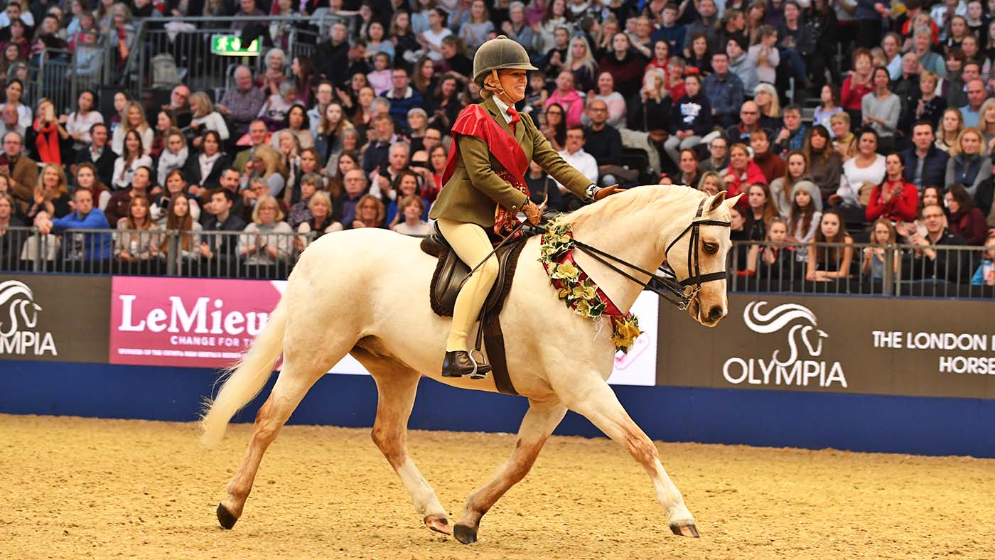 Horse-No-939_Olympia_PN17_4497_159700051_236818301.jpg