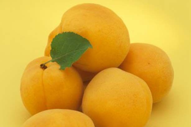 Apricots