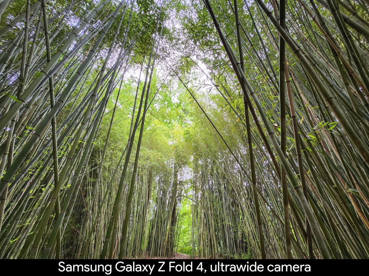 Samsung Galaxy Z Fold 4 camera samples for the Google Pixel Fold review