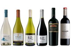 Top Chilean wines to drink now