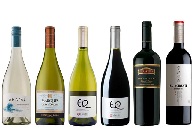 Top Chilean wines to drink now