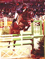 BB9B3401-9162-4A0E-B211-AA60B53D32F4.jpg