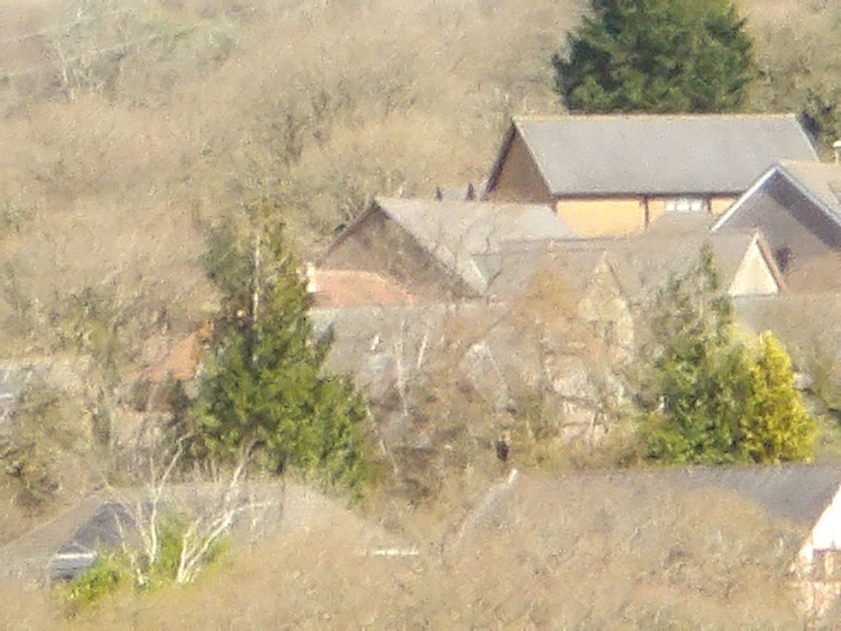 Images taken using the Pentax WG-1000 to demonstrate zoom capabilities.
