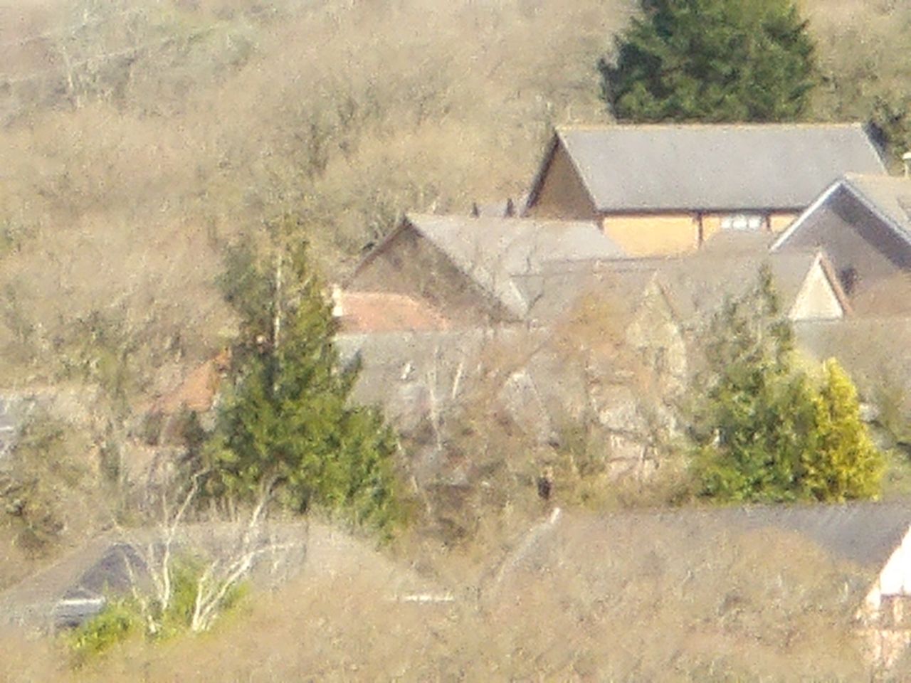 Images taken using the Pentax WG-1000 to demonstrate zoom capabilities.