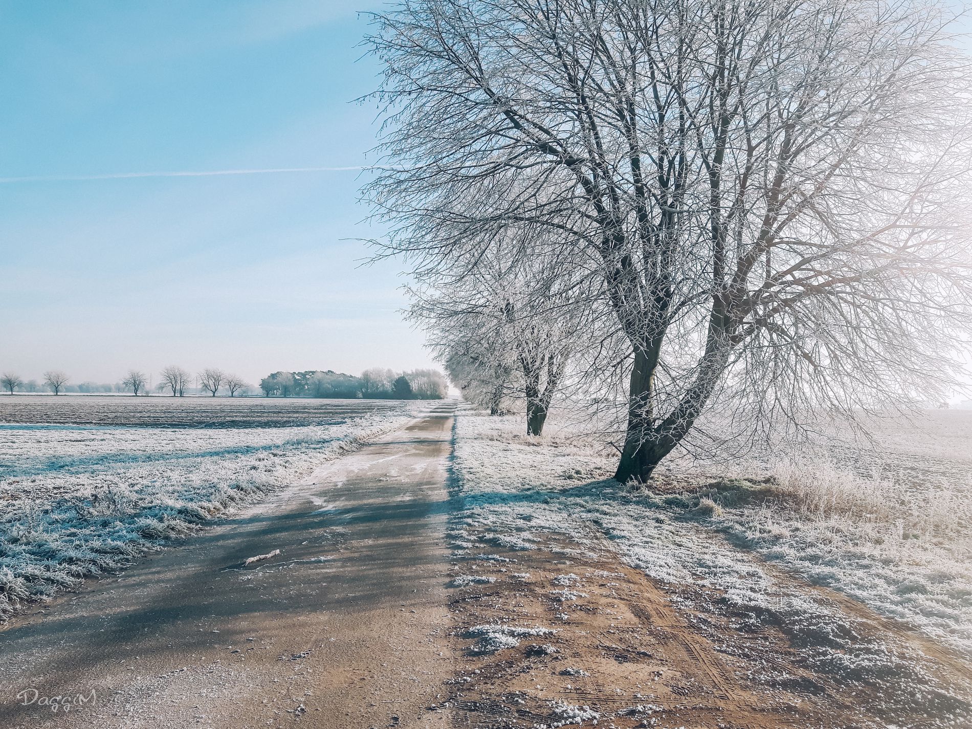 GuruShots - February 2026