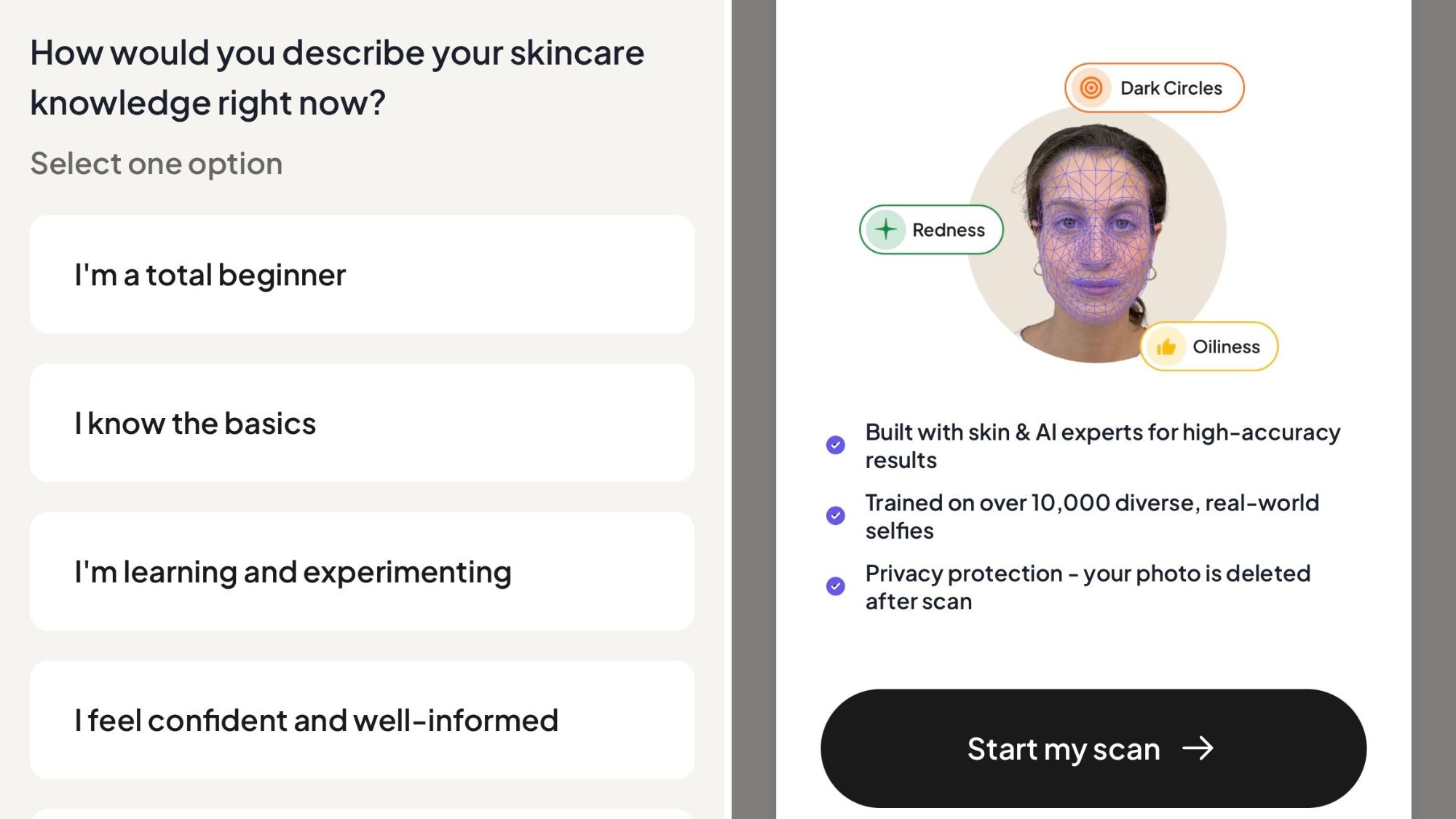 Noli website interface