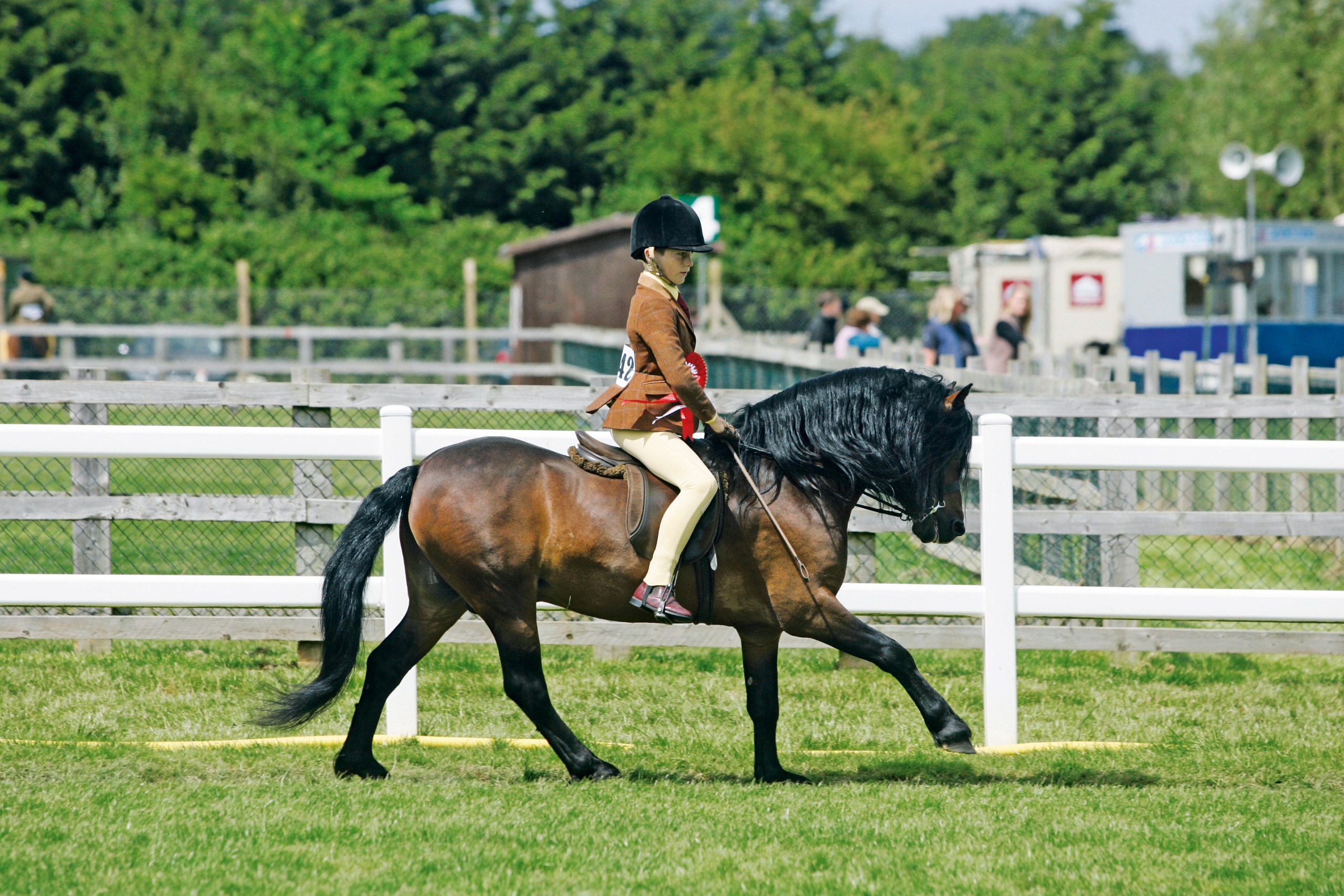 Helen Starkie's son Jack Starkie riding Dartmoor pony Pumphill Bennet at a show