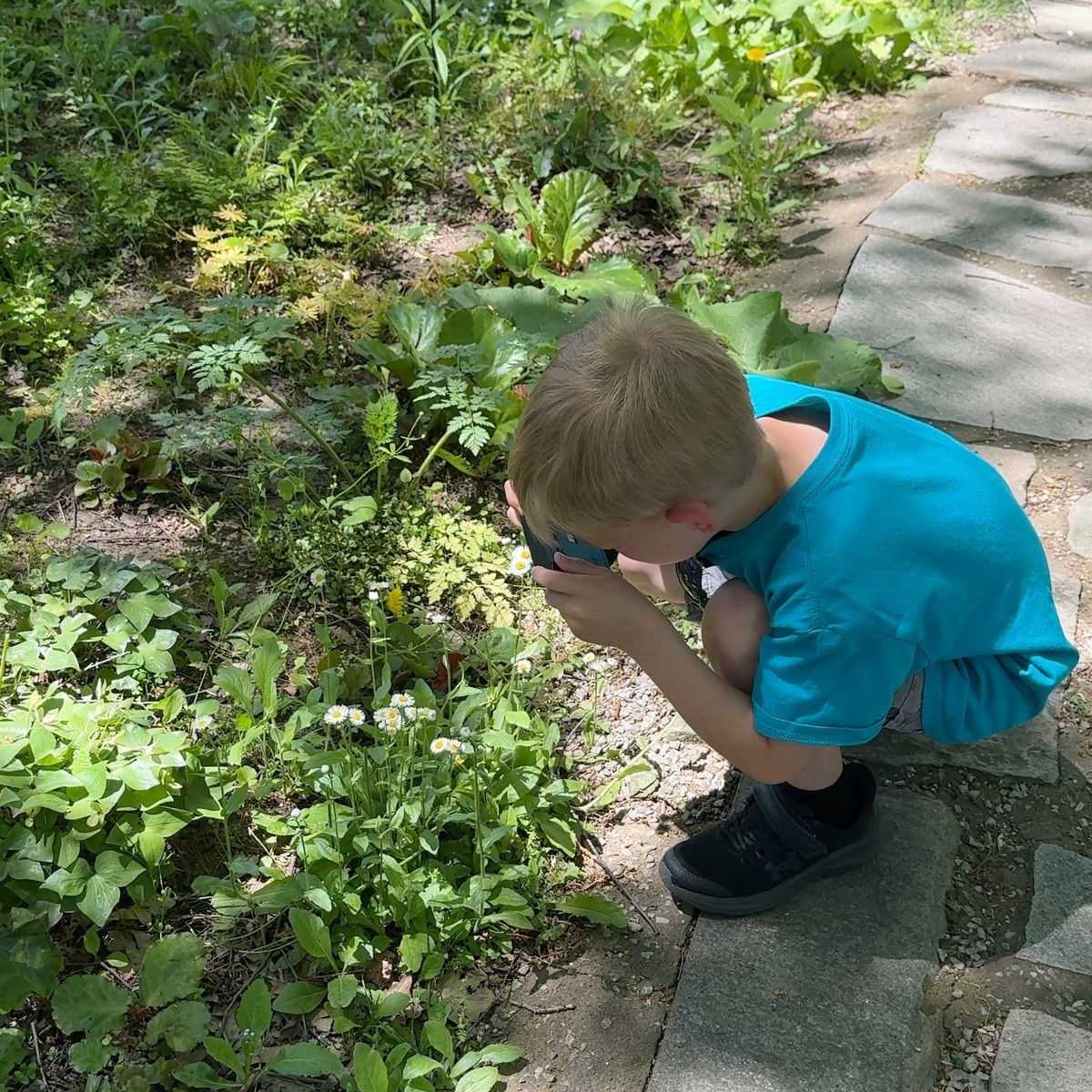 A kid taking a photo of a dandelion with the Camp Snap 2 camera