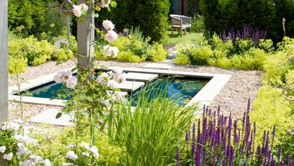 sensory garden ideas – pond with stepping stones