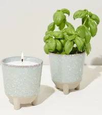 Glow and Grow Herb Garden: 2-in-1 candle and basil ($35)