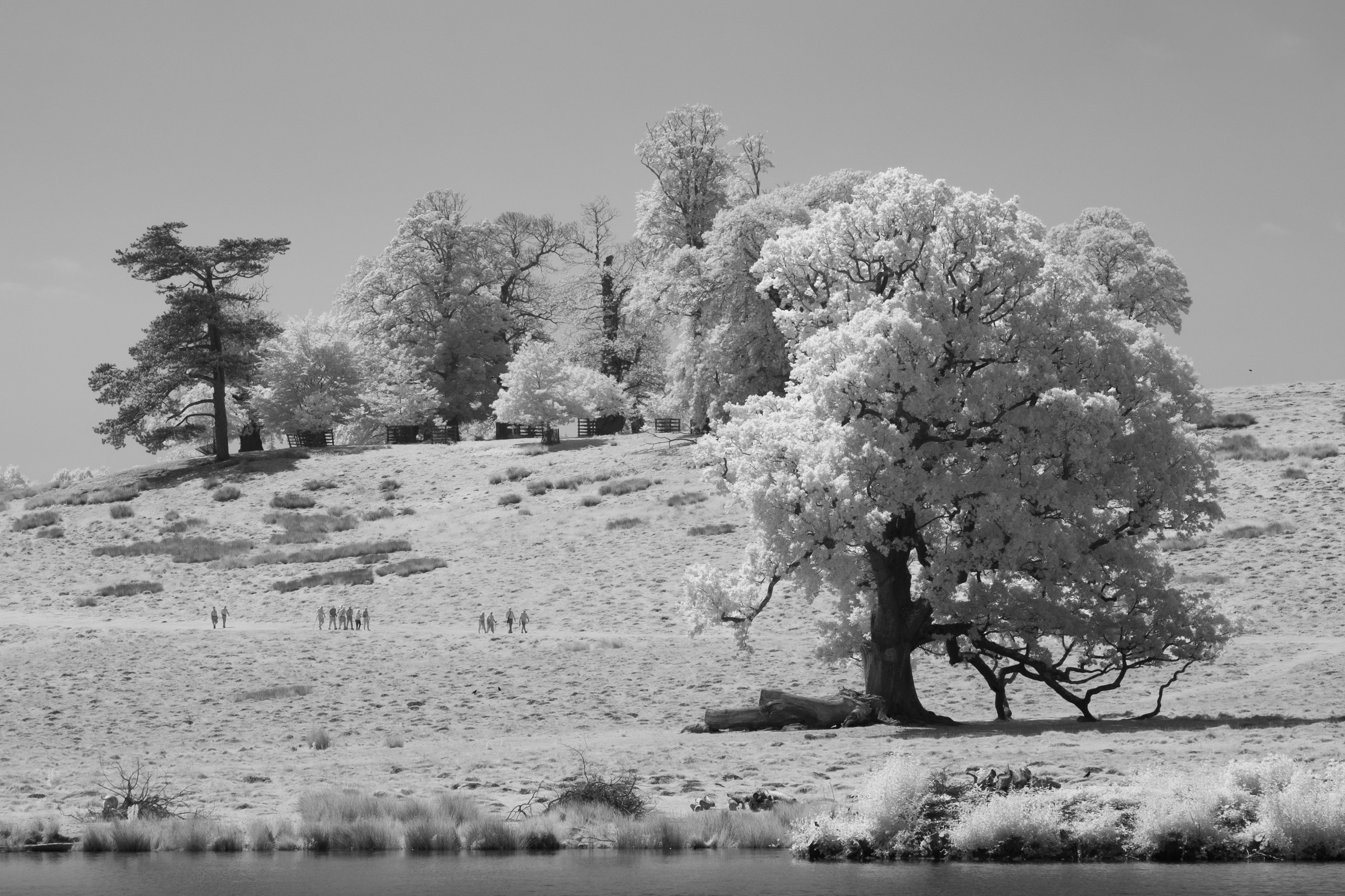 A photo taken on an infrared camera