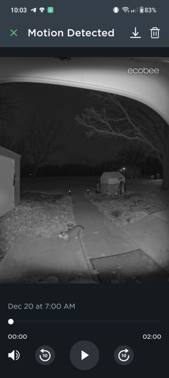 Ecobee Smart Doorbell Camera sample yard view at night