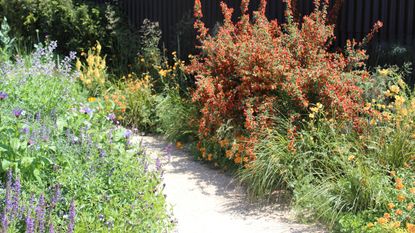 Backyard garden with gate, various plants and gravel pathway