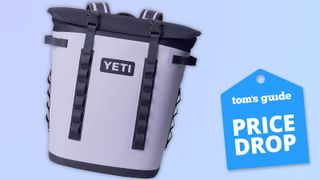 the yeti hopper m20 backpack in lilac with a tom's guide price drop badge