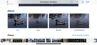 "Looping" og "bouncing" av Live Photos er morsomt, men det er vanskelig å integrere i andre apper.