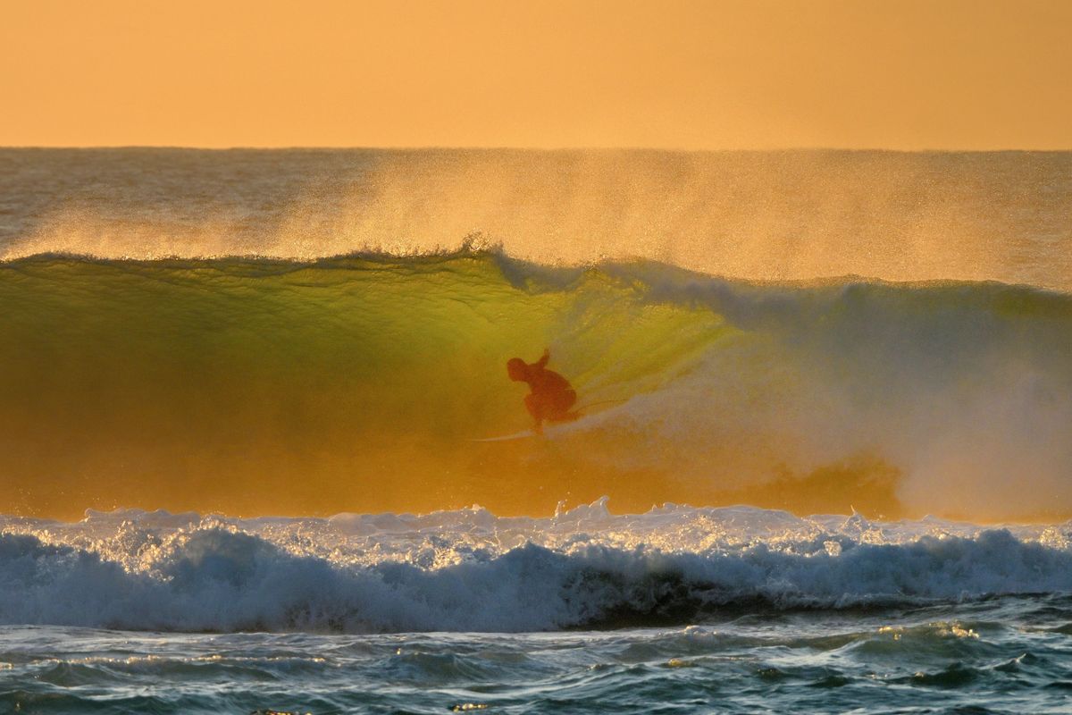 Surfer.