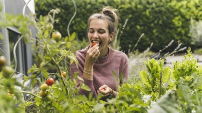 A woman in a garden bites into a tomato