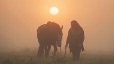 Equine euthanasia