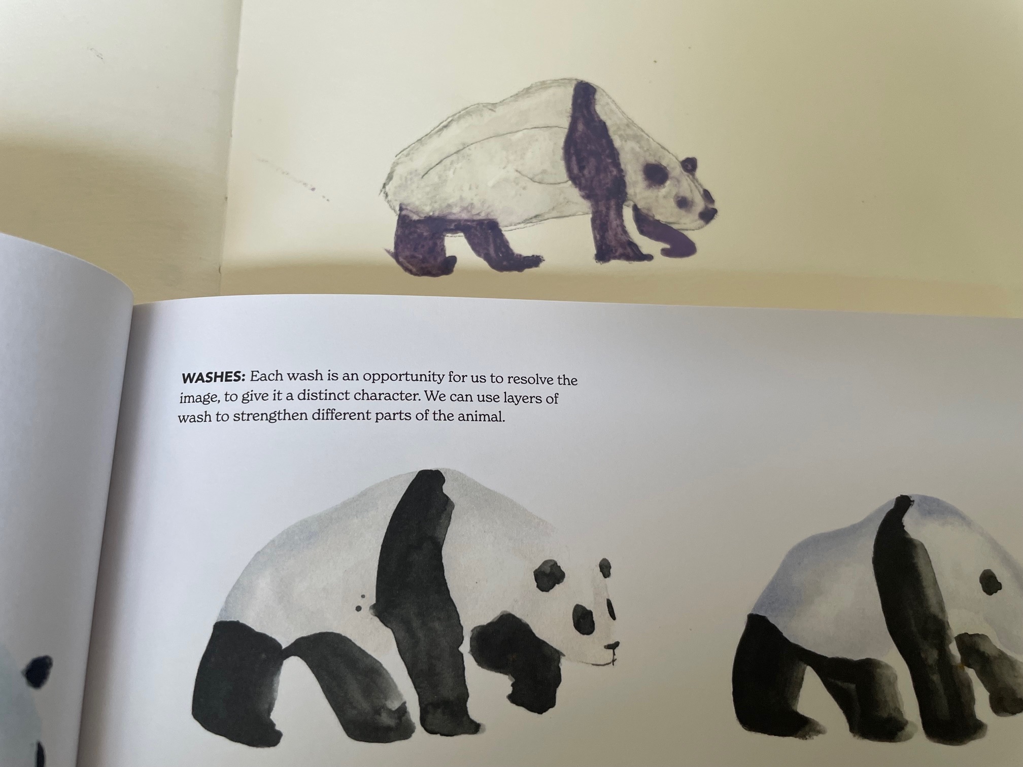 drawings of a panda in watercolour using book