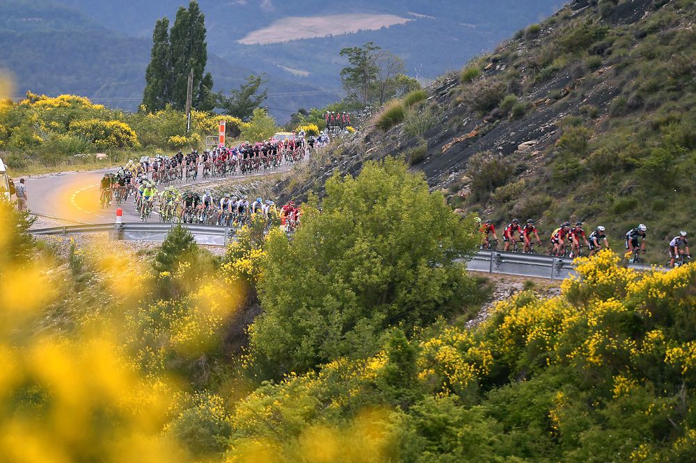 The peloton rides during stage 4 of the Criterium du Dauphine.