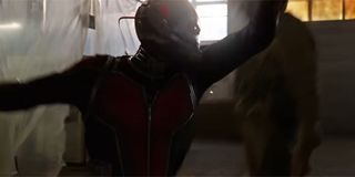 Ant Man And The wasp Flashback