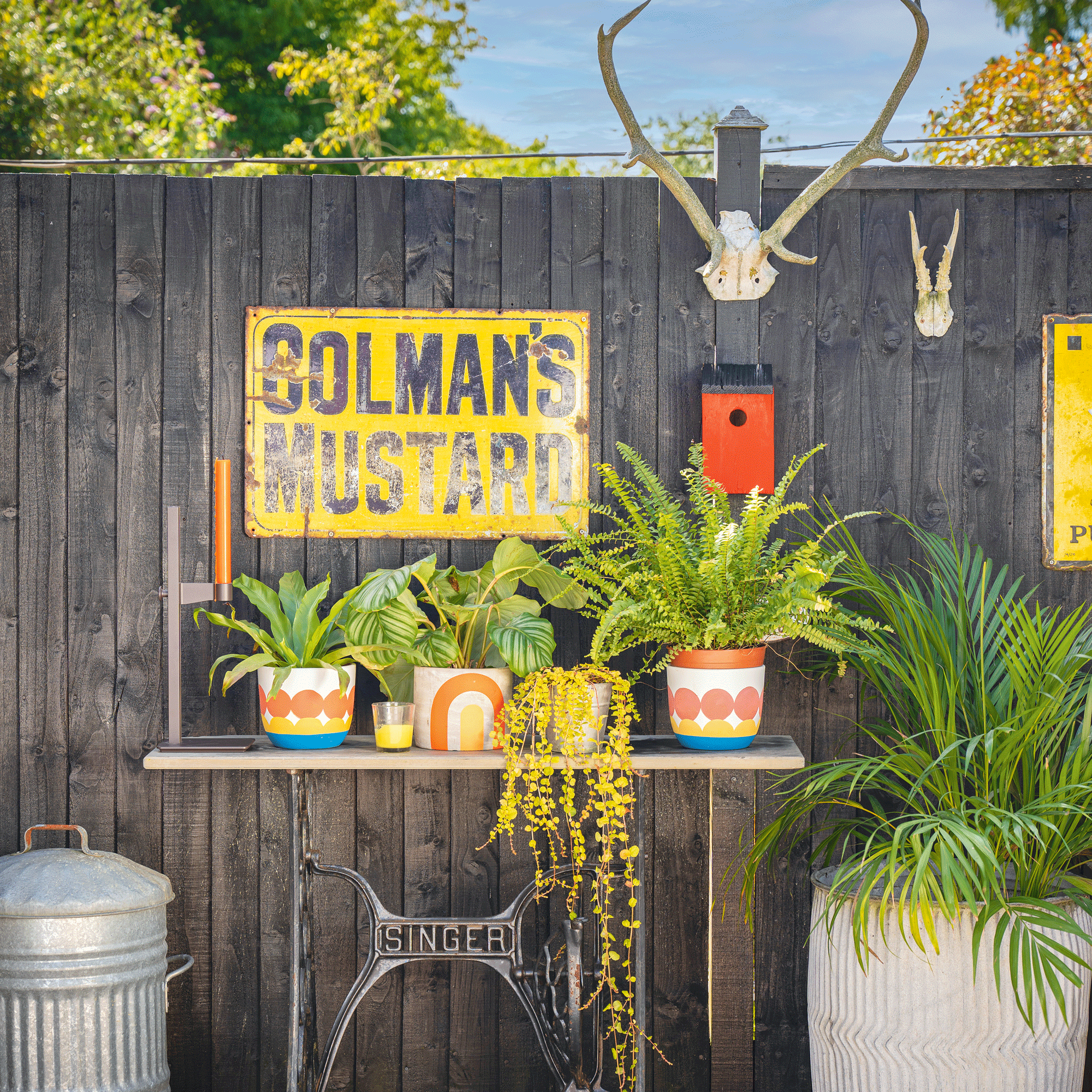 a garden with a black painted fence with vintage signs and animal skulls with lots of planters filled with plants and flowers on to of an old vintage sewing machine made into a table