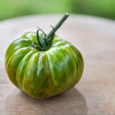 fresh green streaked tomato up close 