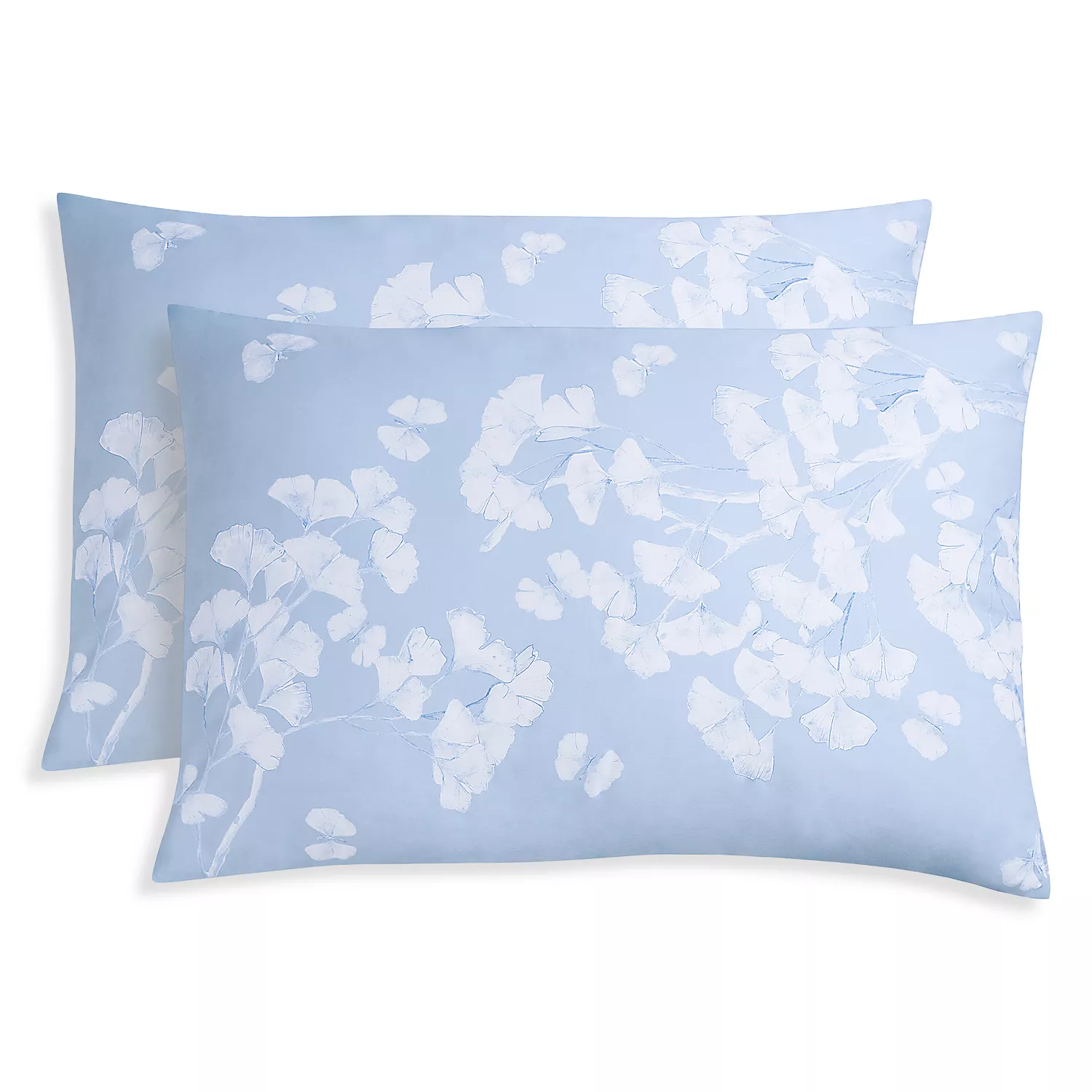 Butterfly Ginkgo King Shams, Set of 2