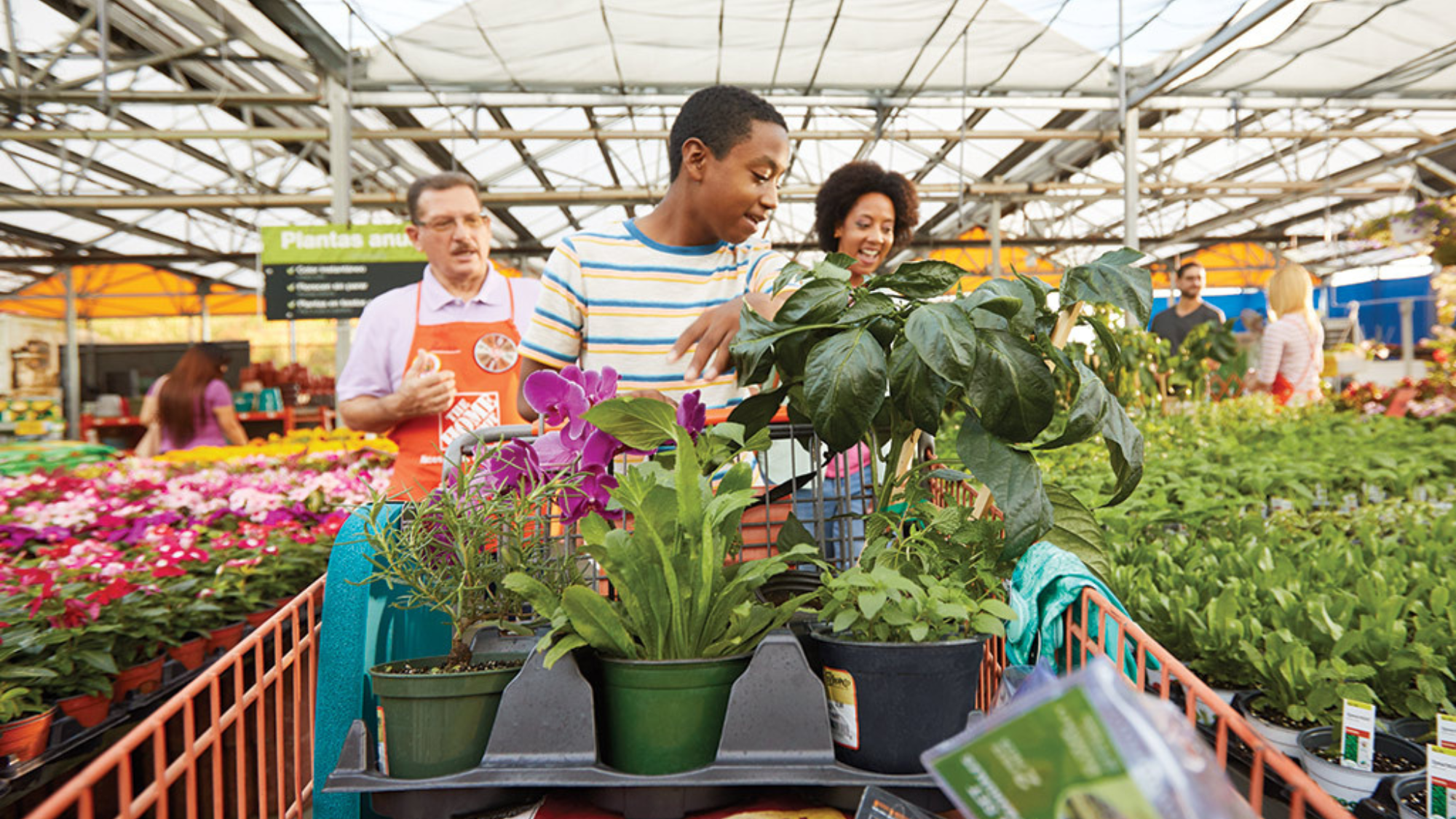 The Home Depot