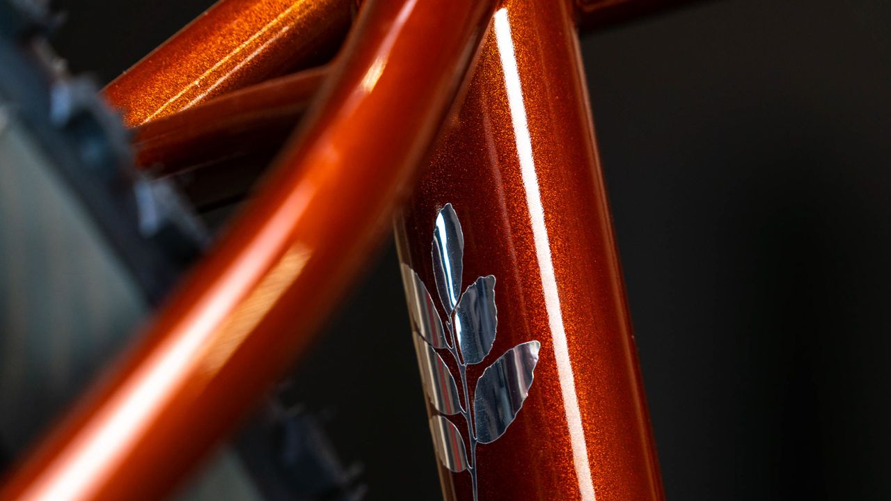 Enve Builders Roundup 2022 - Chumba Yaupon