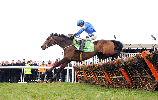 Hurricane Fly
