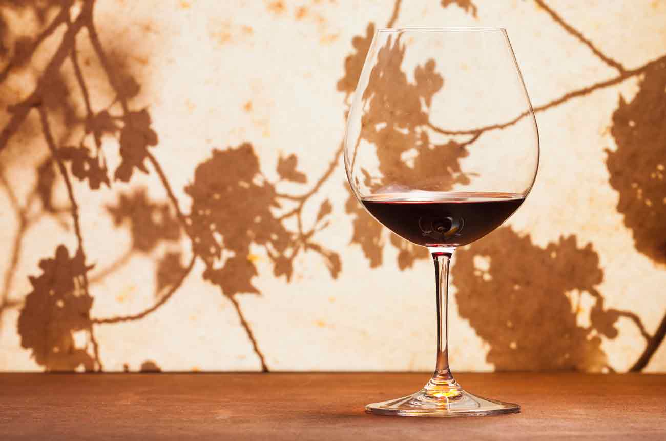 Shadow of blossom tree with glass of red wine