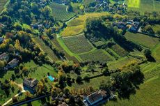 fronsac, right bank bordeaux