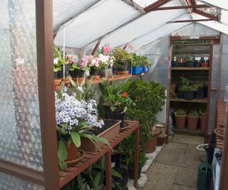 Interior of a residential greenhouse insulated with bubble wrap