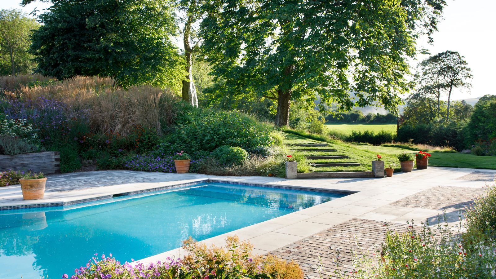 An inground backyard pool surrounded by green shrubs and trees. 
