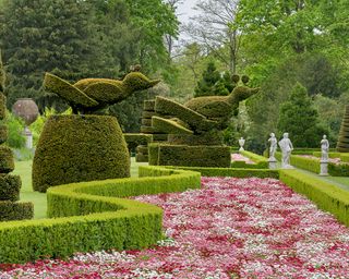 National Trust gardens