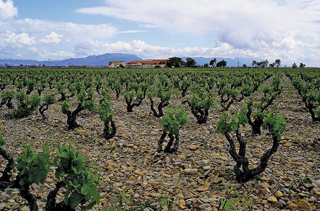 Finca La Emperatriz, Rioja Vi&ntilde;edos Singulares