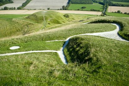 Visitors can come right up to the lines of the horse — and you can even volunteer to be part of the team to preserve this ancient masterpiece.