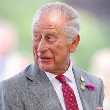 King Charles has gray hair and is wearing a gray suit