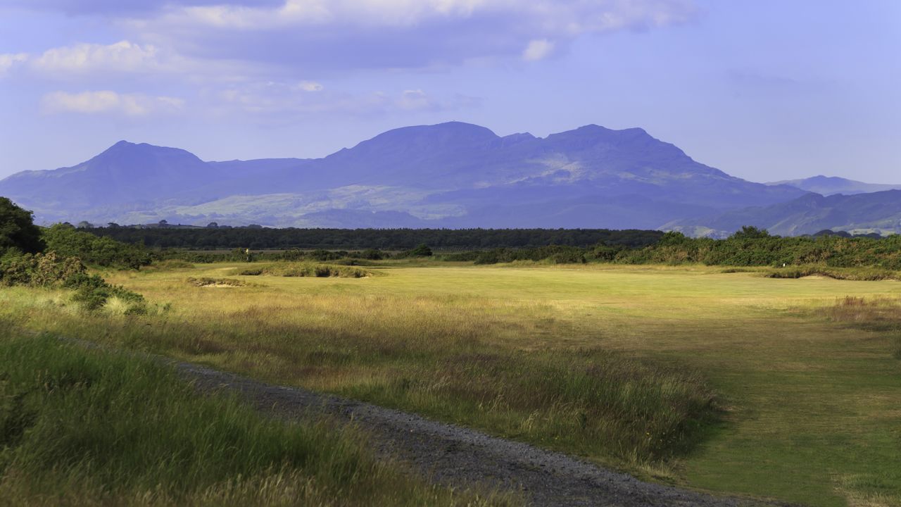 Royal St Davids - Hole 6