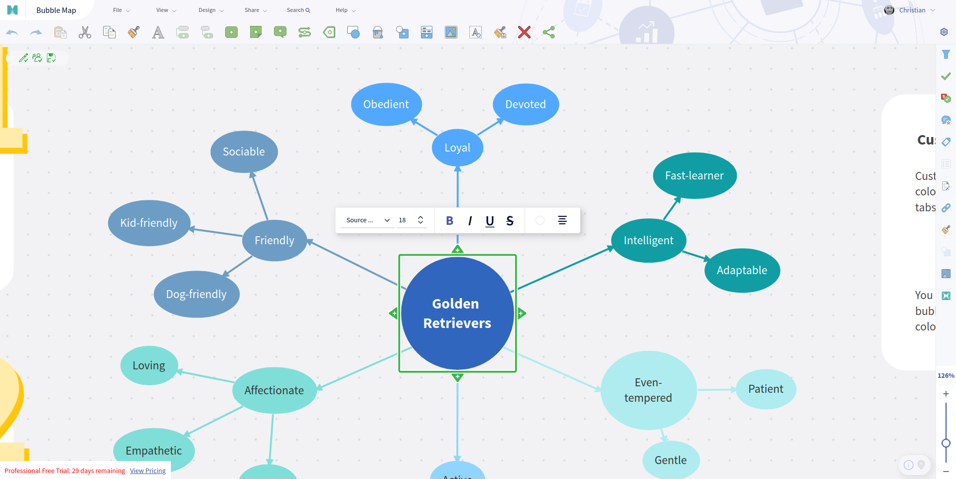 MindManager bubble