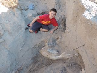 Jude Sparks poses with the jawbone of a stegamastodon that he discovered while hiking in the desert in Las Cruces with his family. 