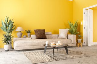 Μοντέρνο εσωτερικό σαλόνι με καναπέ, φυτά σε γλάστρες και τοίχο σε κίτρινο χρώμα