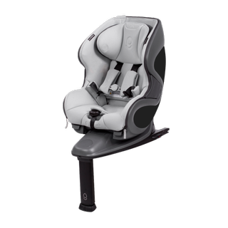 Babyark Convertible Car Seat - Classic