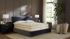 A Saatva mattress and dark bedframe in a bedroom with brown panelled walls. To either side of the bed are black bedside table with clear lamps with white shades, and beneath the bed is a large cream rug. To the right of the room are large Crittal windows with sheer white curtains, and a large plant with a white chair.