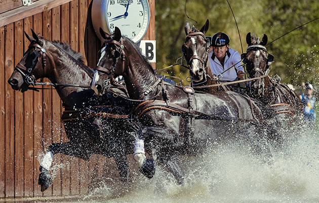 FEI World Equestrian Games&amp;ordf; Tryon USA Carriage 1900 Boyd Exell 1900B Celviro / 1900C Checkmate / 1900D Daphne / 1900E Zindgraaf Photo FEI/Christophe Tani&amp;#143;re
