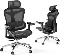 Sihoo Doro C300 Ergonomic Desk Chair