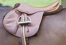 saddle4.jpg